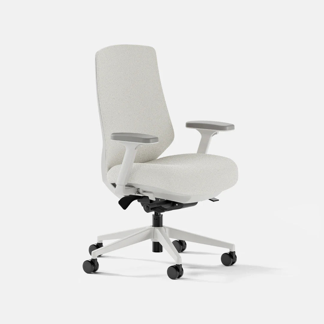 Ergonomic Chair Pro