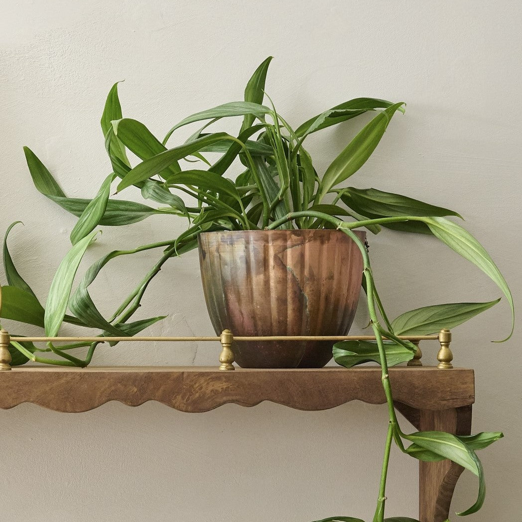 Aged Copper Planter