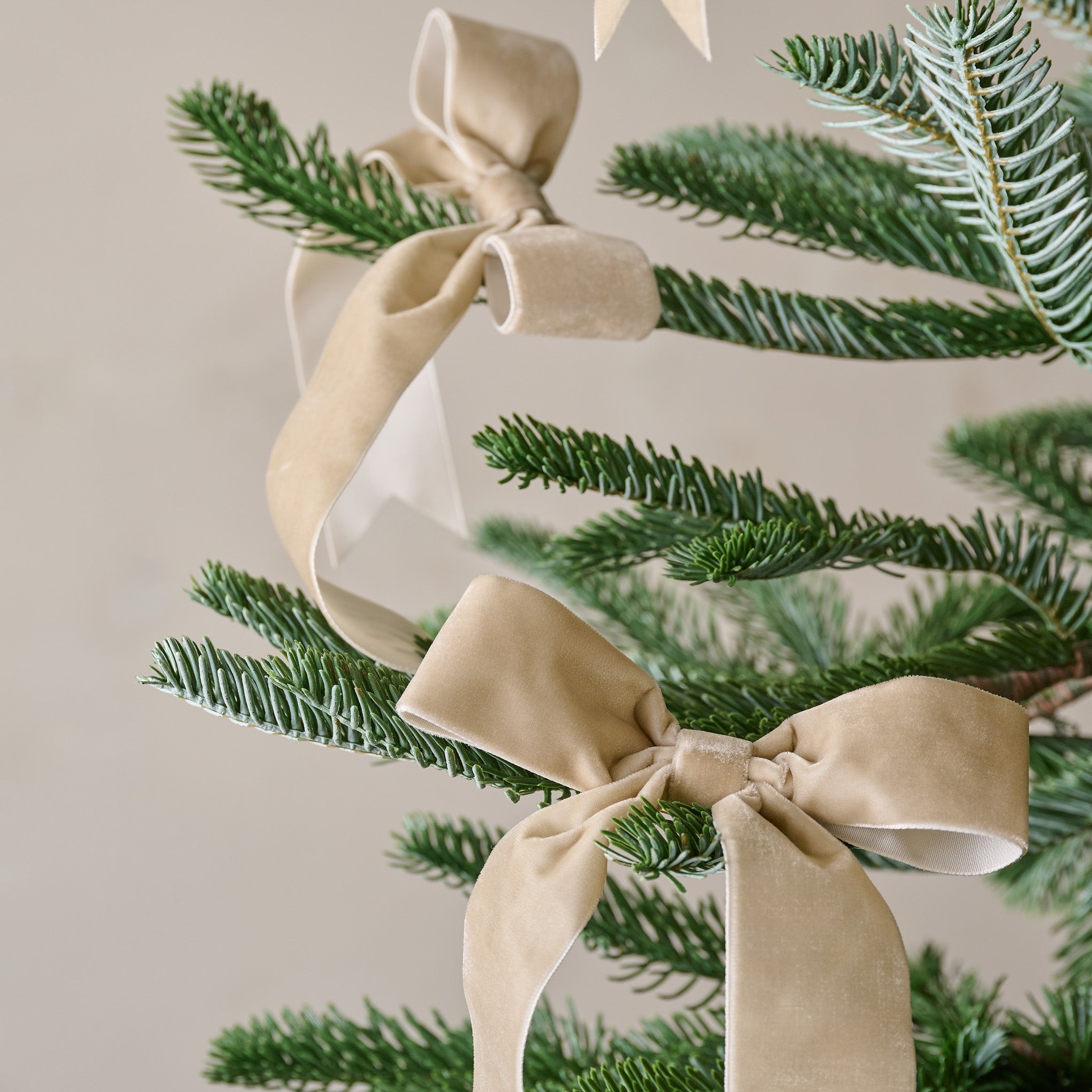 Velvet Bow Ornament Clip. Set of 8