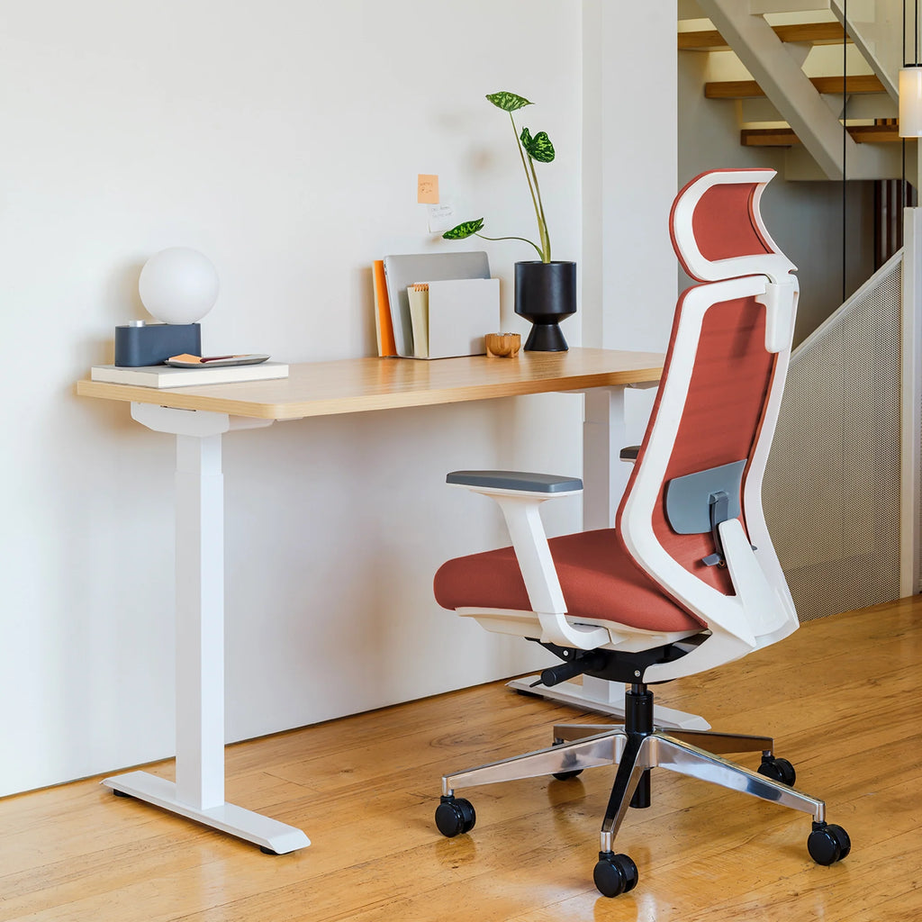 Ergonomic Chair